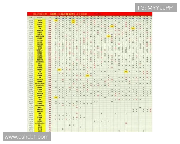 深入探讨上海足球队在赛季中的技术表现与数据分析结果