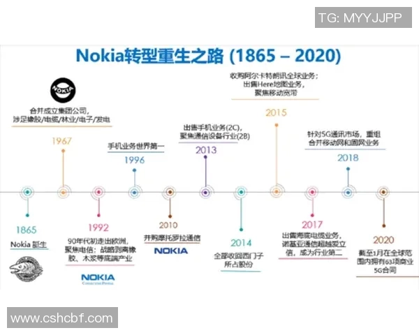 深圳排球队的蜕变与崛起精英赛特别报道揭示转型之路的背后故事